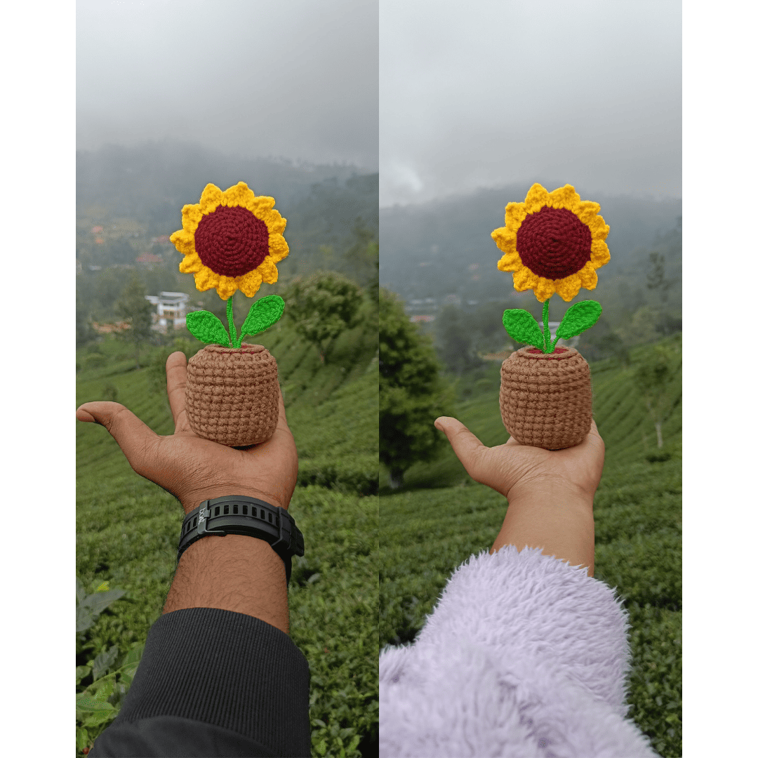 CarrotBeans Handmade Crochet Flowers Completed Hand Woven Sunflowers Daisy Knitted Potted Plants Knitted Flower for Car Dash Decoration, Table Decoration, Home Decoration Pack-1